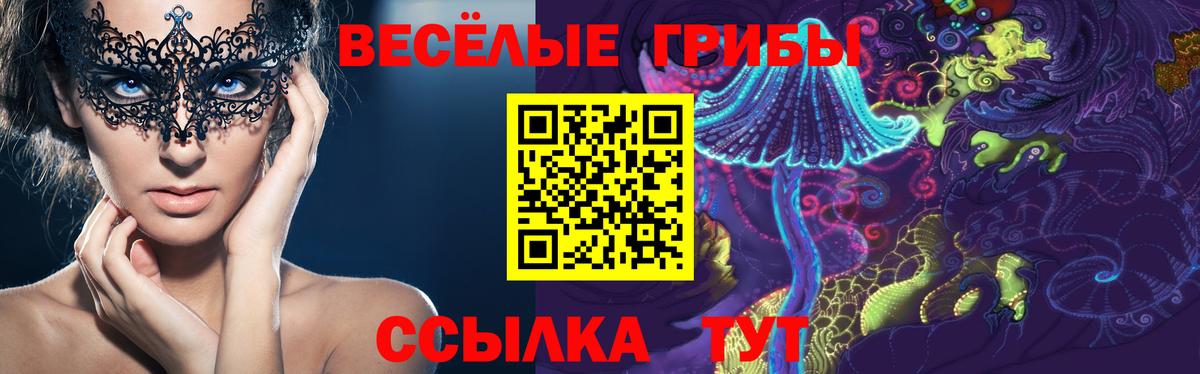 Обь  Псилоцибиновые грибы мицелий  Псилоцибиновые грибы ЛСД  Вход с VPN 